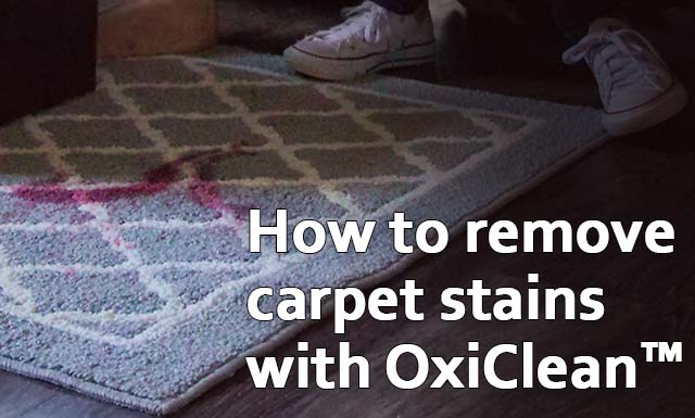 How To Get Stains Out Of Carpet Oxiclean Stain Solutions Oxiclean Carpet Spray Versatile Stain Remover