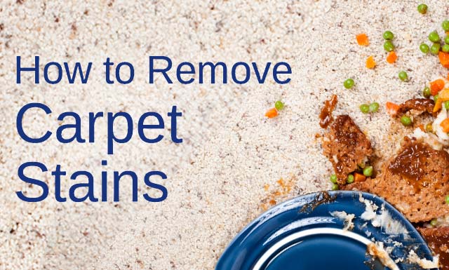 Remove Coffee Stain From Carpet >> How To Page Remove Coffee Stain From Carpet >> How To Page
