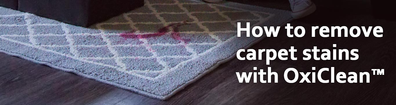 How To Get Stains Out Of Carpet Oxiclean Stain Solutions