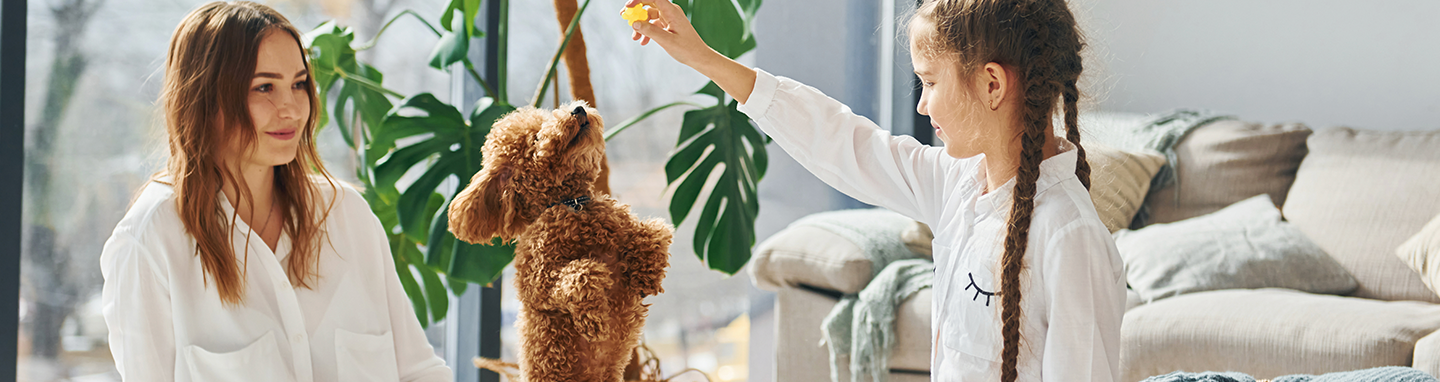 A mother and daughter playing with a dog after getting odors out with OxiClean™ Pet Stain Remover.