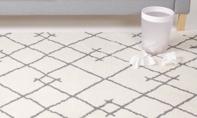 Sanitize carpet with OxiClean™.