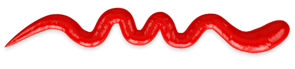 ketchup squirt