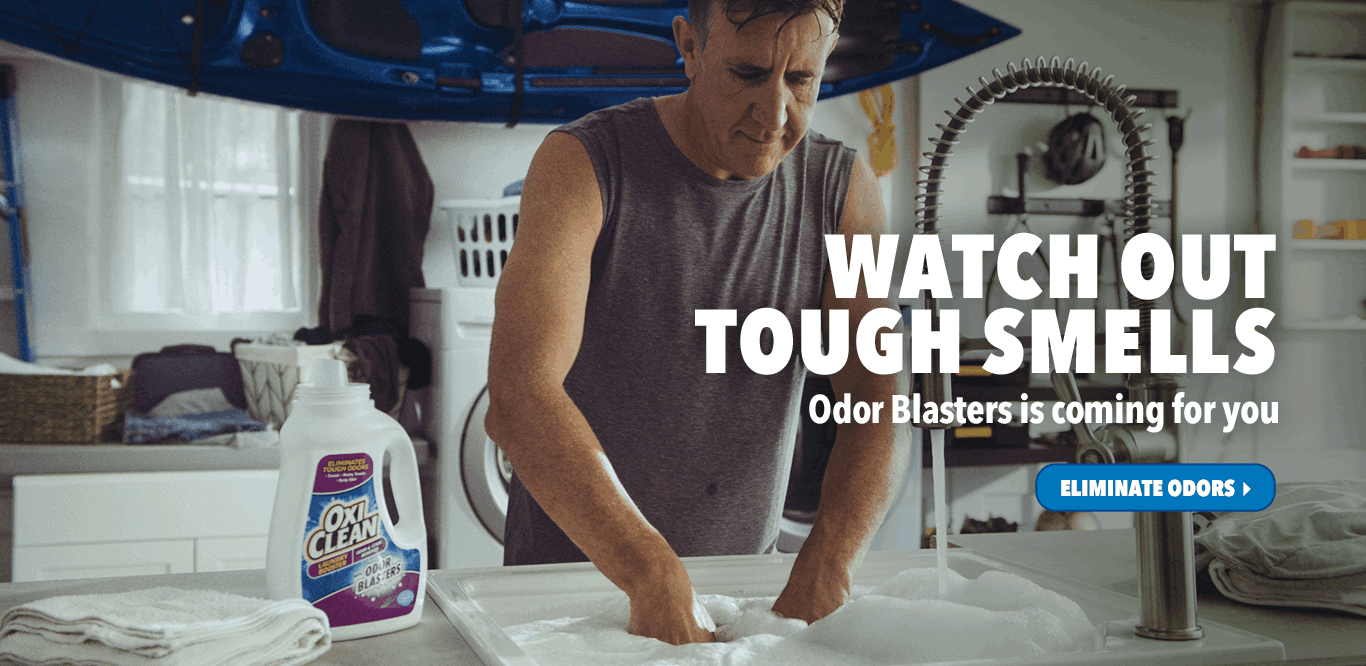 the laundry guy stain remover