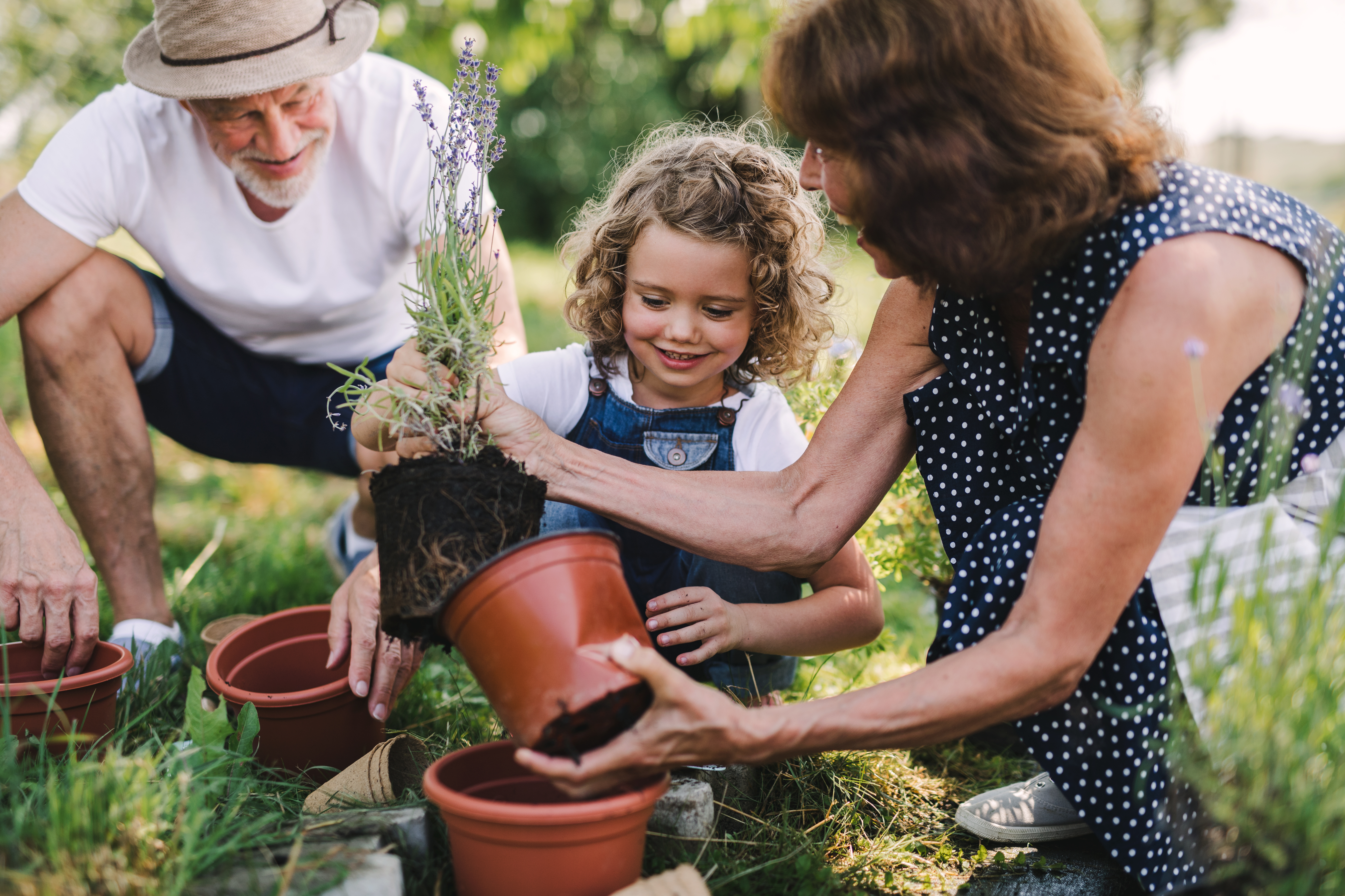 Family planting flowers together