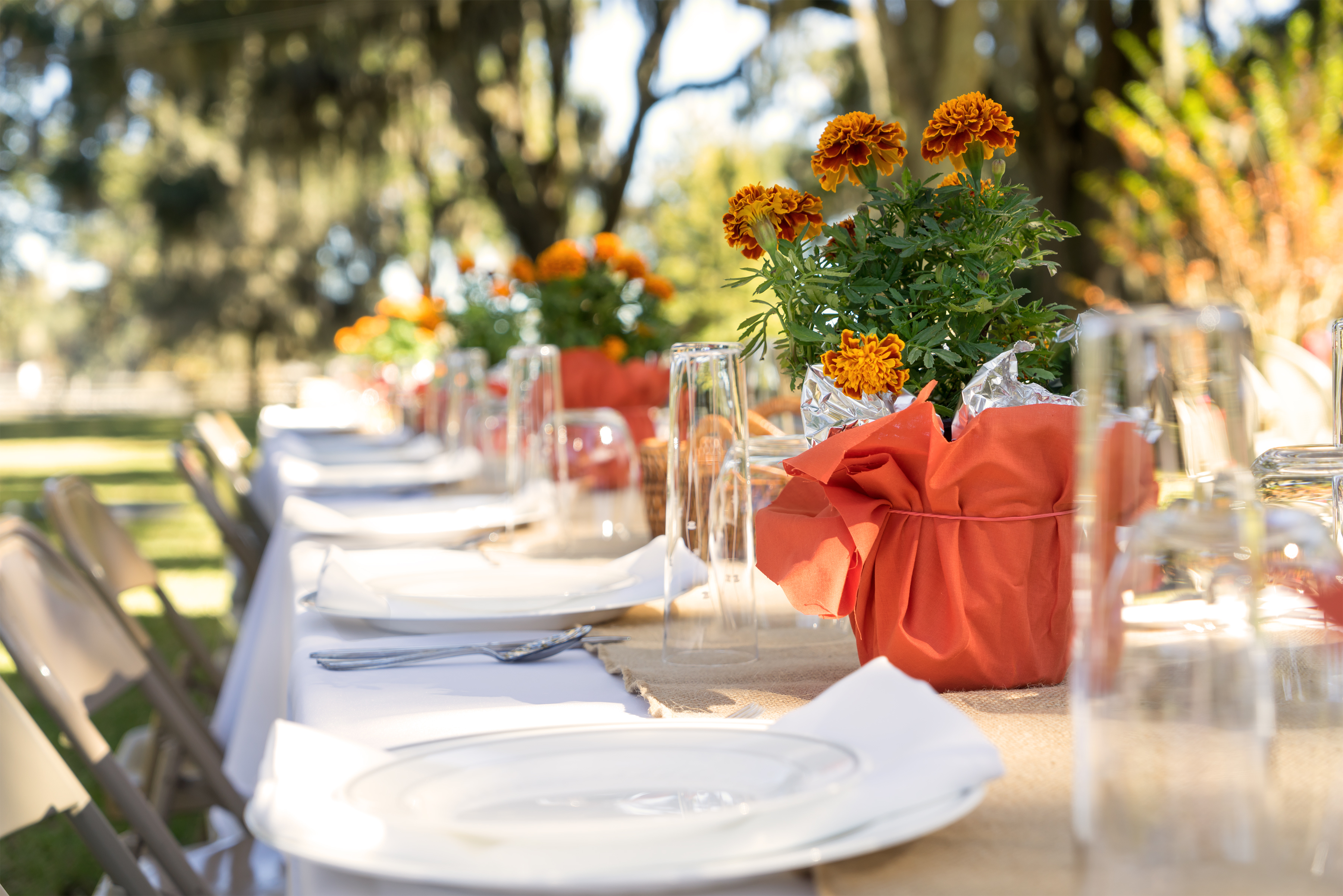 Outdoor table set for dinner party