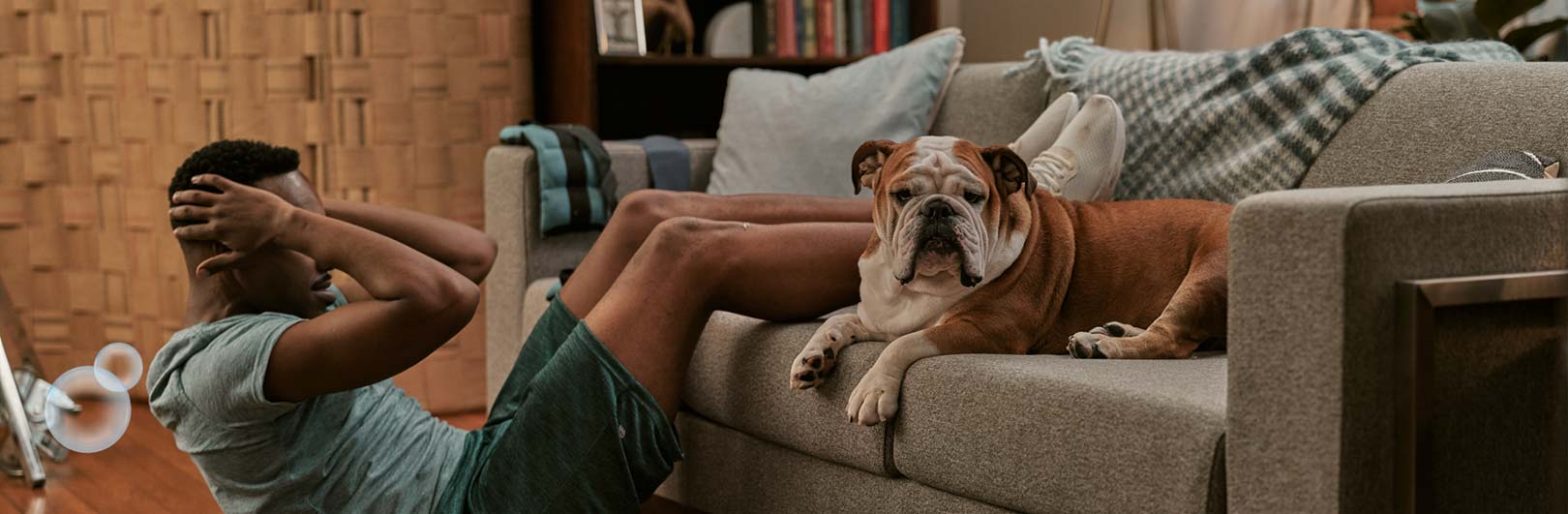 How to sanitize a couch.