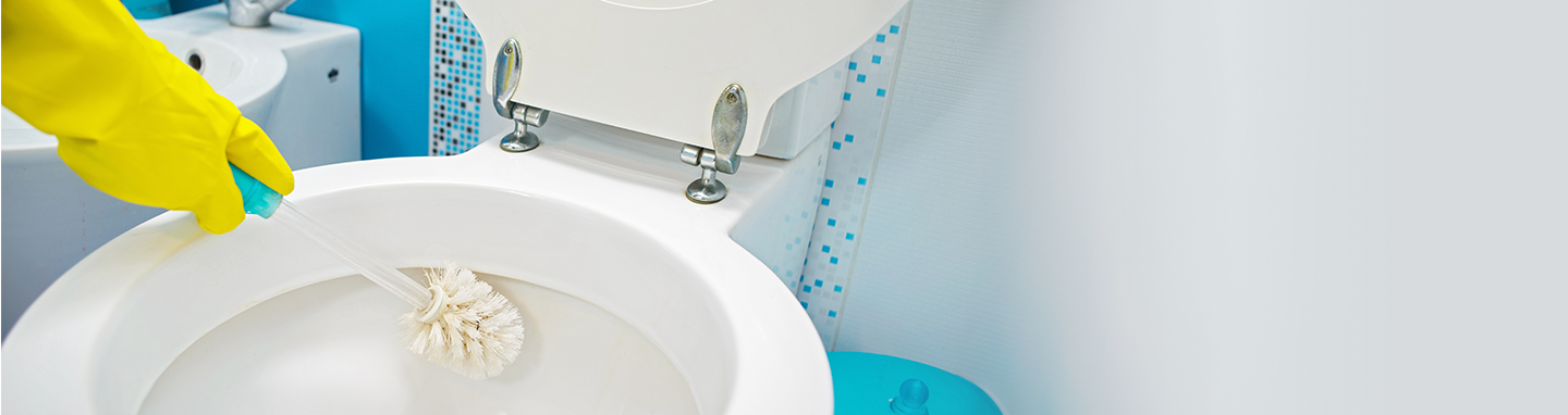 Woman with scrub brush cleans the inside of a toilet bowl with chlorine bleach