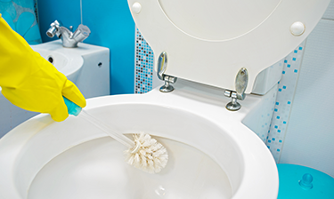 Woman with scrub brush cleans the inside of a toilet bowl with chlorine bleach