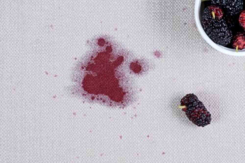 Crushed berry stain on a beige upholstered sofa cushion, leaving dark purple fruit stains on the fabric.